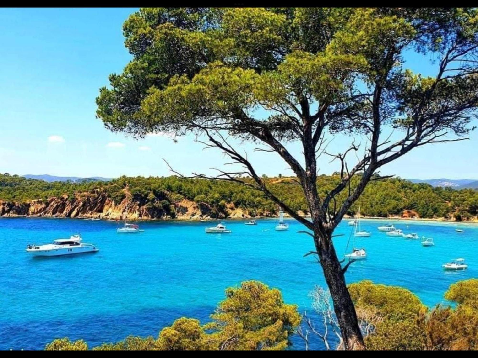 Appartement Pieds Dans L'Eau Vue Mer Bormes Les Mimosas Bormes-les-Mimosas Exterior foto