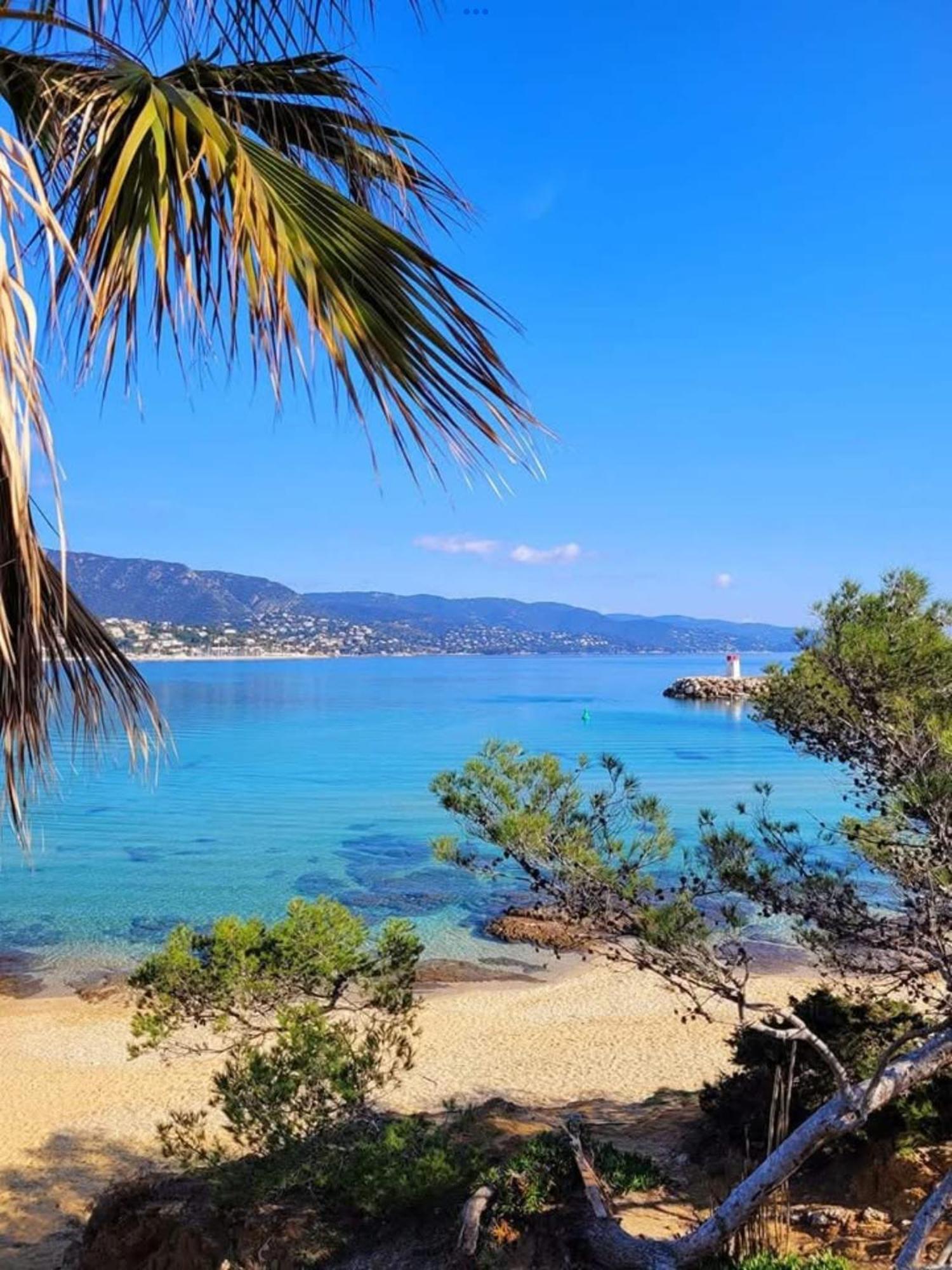 Appartement Pieds Dans L'Eau Vue Mer Bormes Les Mimosas Bormes-les-Mimosas Exterior foto